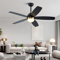 Wrought Studio 52 Inch Black Ceiling Fan With Lights