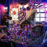 The Holiday Aisle® Halloween Decoration Spider 60 Inch Light Up Giant Big Spider Web For Indoor Outdoor Halloween Decora