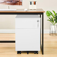 Inbox Zero 2 Drawer Mobile File Cabinet With Lock Metal Filing Cabinet