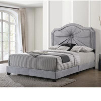 House of Hampton Lockett Queen Upholstered Standard Bed