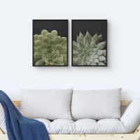 SIGNLEADER SIGNLEADER Framed Wall Art Collage Print Gallery Set Green Spiky And Soft Succulents Botanical Plants Photogr