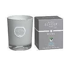 Maison Berger Paris Summer Night CITRONELLA Candle 6385 in BBQs & Outdoor Cooking