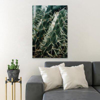 Foundry Select Green Cactus Plant In Close Up Photography 20 - 1 Piece Rectangle Graphic Art Print On Wrapped Canvas