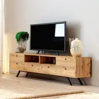 East Urban Home Palisades TV Stand for TVs up to 65"