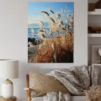Millwood Pines Beachgrass Photography Horizon - Plants Canvas Prints