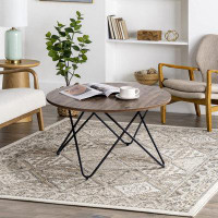 17 Stories Tierre Coffee Table