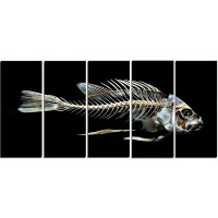 Design Art 'Fish Skeleton Bone on Black' 5 Piece Graphic Art on Wrapped Canvas Set