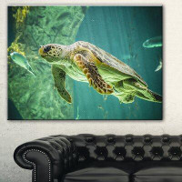 East Urban Home 'Huge Turtle Swimming' Oil Painting Print on Canvas