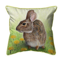 August Grove Rabbit Extra Large Zippered Indoor/Outdoor Pillow 22X22