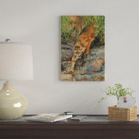 East Urban Home Mountain Lion II by David Stribbling - Gallery-Wrapped Canvas Giclee Print