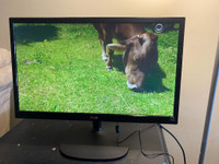 Used 24” LG 24M350-B Wide Screen LCD Monitor with HDMI(1080), Can deliver