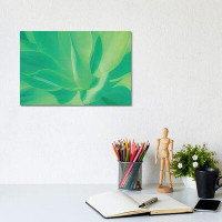East Urban Home Aloe Vera Plant by Beli - Wrapped Canvas Gallery-Wrapped Canvas Giclée