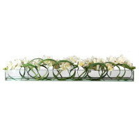 CFA Design Group Casa Moderna Cymbidium Orchids and Loops of Grass Shoots in Glass Plate Planter