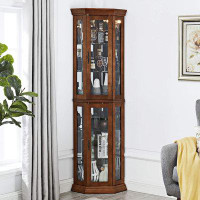 Alcott Hill Corner Curio Cabinet With Lights And Adjustable Tempered Glass Shelves