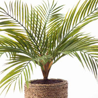 Primrue Artificial Palm Plant in Pot