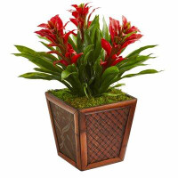 Bay Isle Home™ Triple Bromeliad Floral Arrangement in Planter