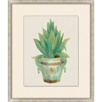 Wendover Art Group Aloe Pot 5