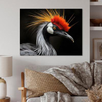 Latitude Run® Africa Crowed Cranes Beauty I - Animals Metal Art Print