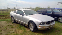 Parting out WRECKING: 2005 Ford Mustang