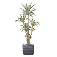 Vintage Home 88"H Vintage Real Touch Golden Edged Agave, Indoor/ Outdoor, In Pot With Rope Basket (48X48x82"H )