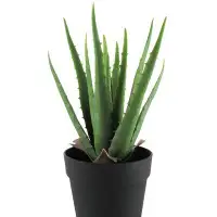 AllModern Artificial Aloe Succulent Plant in Pot
