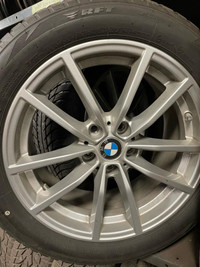 225/50/17 winter tires, BRIDGESTONE BLIZZAK on BMW rims