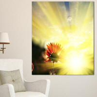 Design Art 'Flower Against Bright Yellow Sunset' Graphic Art on Wrapped Canvas