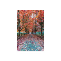 Ebern Designs USA, Washington State, Snoqualmie. Autumn country lane. Print On Acrylic Glass