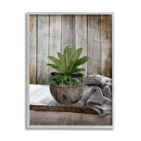 Stupell Industries Cozy Rustic Potted Plant Framed Giclee Art by Kim Allen