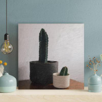 Foundry Select Cactus Plant On Wooden Surface - 1 Piece Square Graphic Art Print On Wrapped Canvas