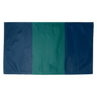 East Urban Home Seattle Striped Navy Blue/Northwest Green Area Rug