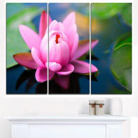 Made in Canada - Design Art Large Lotus Flower in the Pond - 3 Piece Graphic Art on Wrapped Canvas Set