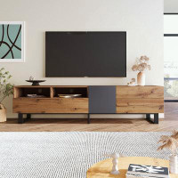 Millwood Pines Modern TV Stand with Double Storage Space and Drop Down Door