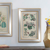 August Grove Large Vintage Style Plant Illustrations Textile In Mirror And Gold Rectangular Frame, 19.5” X 28.5” - Pictu