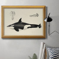 Rosecliff Heights Antique Whale Study I Premium Framed Canvas- Ready To Hang