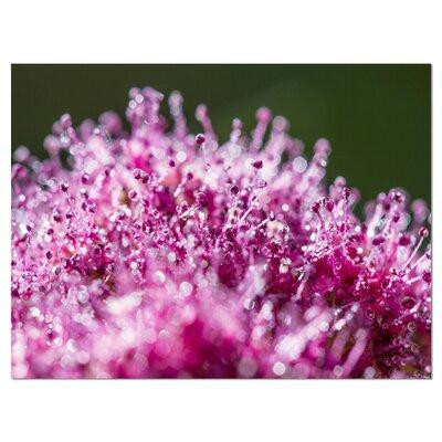 Design Art Pink Little Flowers Close-up View Large Floral - Wrapped Canvas Photographic Print in Home Décor & Accents