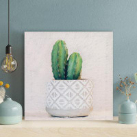 Foundry Select Green Cactus Plant On White Panel - 1 Piece Square Graphic Art Print On Wrapped Canvas