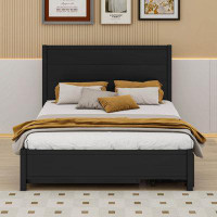 Cosmic Metal Panel Storage Bed with Twin Size Trundle and 2 Drawers