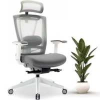 MotionGrey Cloud Mesh Series Executive Ergonomic Computer Desk Home Office Chair with 4D Armrest Lumbar Support- White