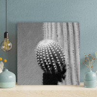 Foundry Select Grayscale Photo Of Cactus Plant - 1 Piece Square Graphic Art Print On Wrapped Canvas