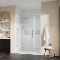 Ove Decors OVE Decors Endless TP0130210 Tampa-Pro, Alcove Frameless Hinge Shower Door And Base, 36 In. W X 74 3/4 In. H,