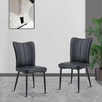 Latitude Run® Luxury Style Dining Chairs 2 Piece Set with Metal Legs and Upholstery