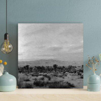 Foundry Select Grayscale Photo Of Plants On Desert - 1 Piece Square Graphic Art Print On Wrapped Canvas