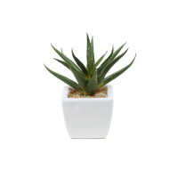 Primrue Faux Aloe Plant