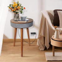 Ivy Bronx Ivy Bronx Smart End Table With Bluetooth Speaker, Smart Coffee Table With Wireless Charger, Smart Table With U