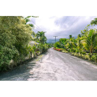Bay Isle Home™ Martines Rural Road And Plants by - Wrapped Canvas Photograph