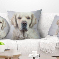 Made in Canada - East Urban Home Animal Sad Looking Beautiful Dog Pillow