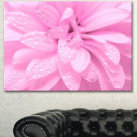 Made in Canada - Design Art 'Abstract Pink Flower with Petals' Graphic Art on Wrapped Canvas