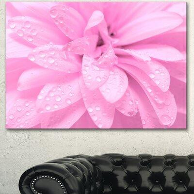Made in Canada - Design Art 'Abstract Pink Flower with Petals' Graphic Art on Wrapped Canvas in Home Décor & Accents