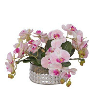 Primrue Real Touch Pink Phalaenopsis Orchids Flower Arrangement In Sliver Diamond Cut Glass Round Bowl
